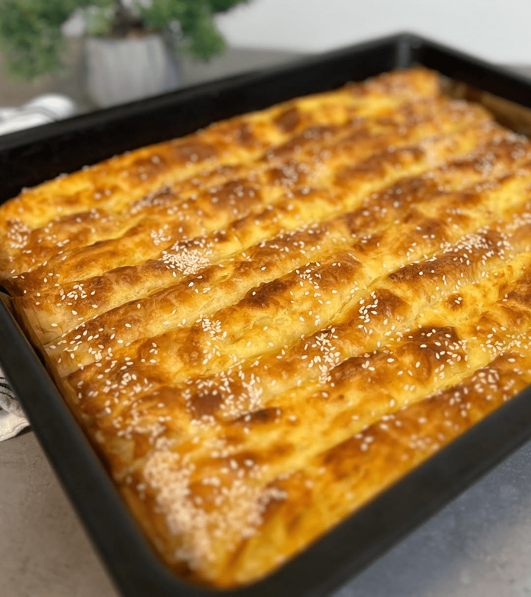 Pita sa Sirom za 30 Minuta – idealan recept za početnike!