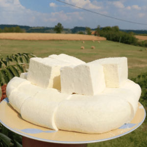 recept za domaći sir