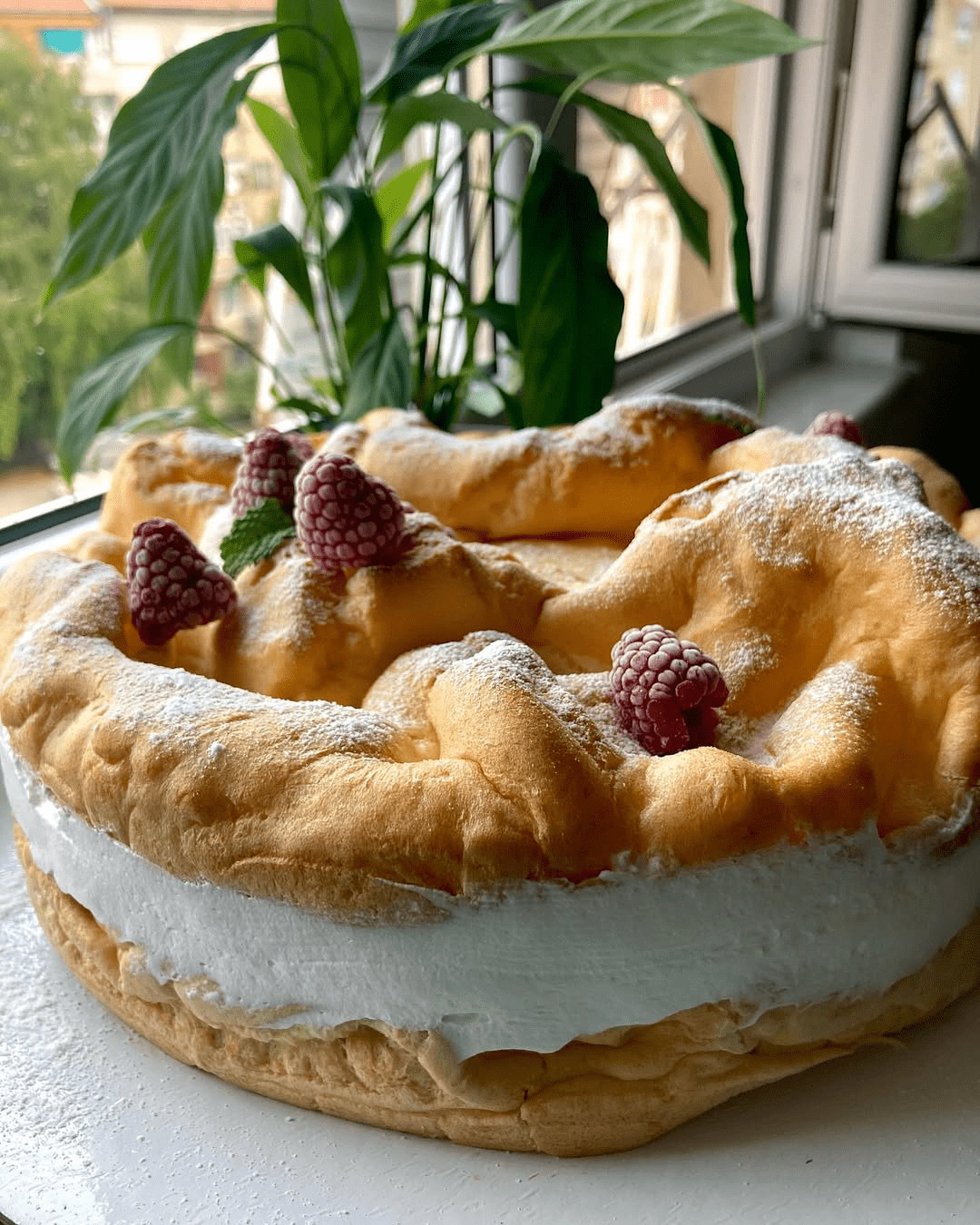 Karpati torta sa malinama – Kako napraviti ukusnu tortu sa voćem