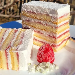 Torta sa malinama i kokosom