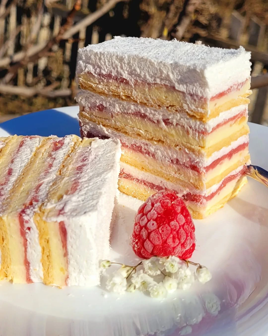 Torta sa malinama i kokosom – Lagan i kremast desert