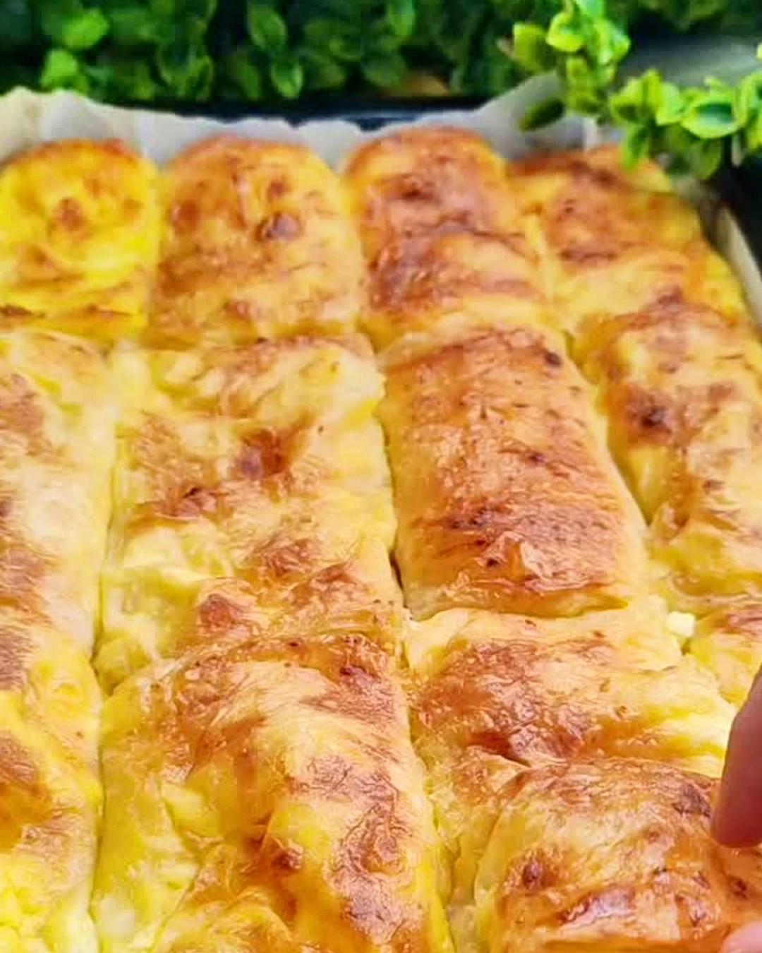 Pitice sa sirom – sočne, mekane i gotove za 30 min!
