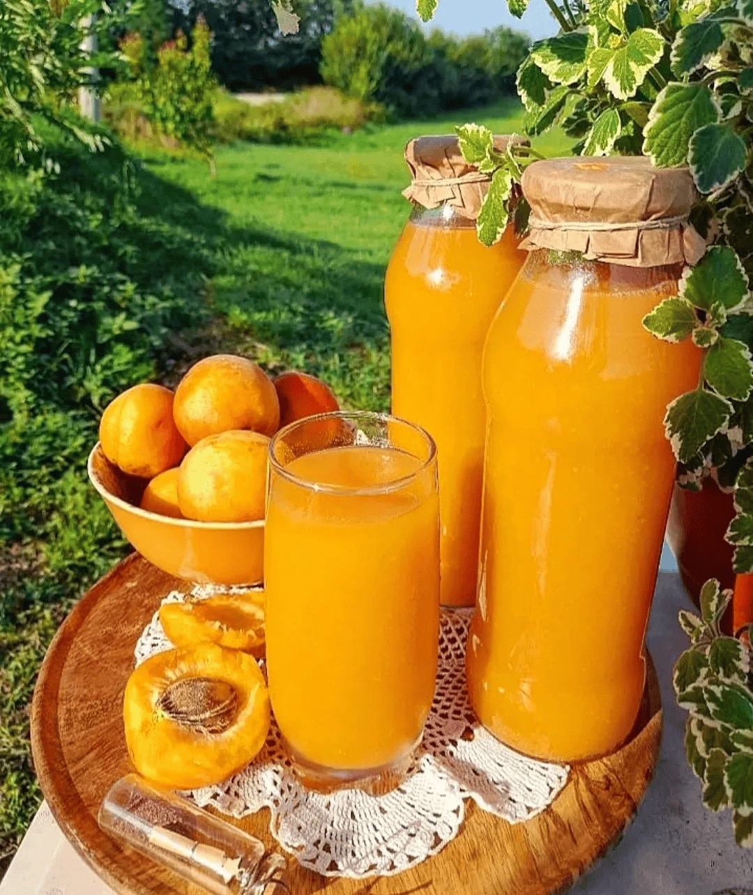 Gusti sok od kajsija – prirodan recept bez konzervansa