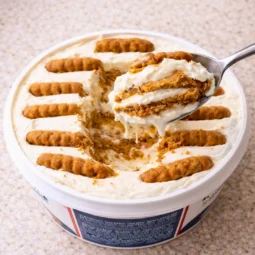 Japanski cheesecake od 2 sastojka u grčkom jogurtu i keksima, kremasti zalogaj na žlici