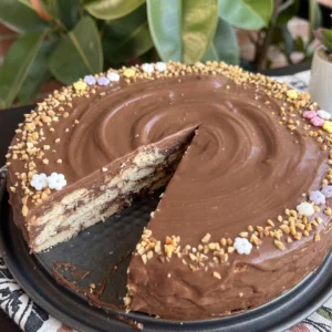 Brza čokoladna torta na tamnom tanjuru, s glazurom, orasima,